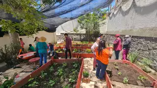 El la siembra y cultivo de alimentos sirve para que los niños aprendan a producir lo que consumen.