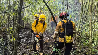 El incendio registra una superficie afectada estimada de 400 hectáreas de vegetación.