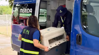 Don Jacinto entró en adopción a Oso y Blanquis