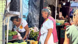 Aumenta el número de personas que hablan maya en Yucatán