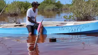 Atasta reporta más de 10 mil hectáreas de manglares y pastizales dañados