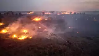 Detectan seis incendios forestales activos en Lázaro Cárdenas