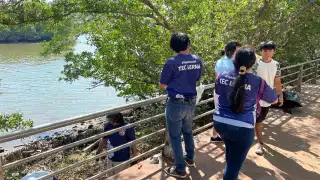 Alumnos del Tecnológico de Lerma limpian mangle en Campeche