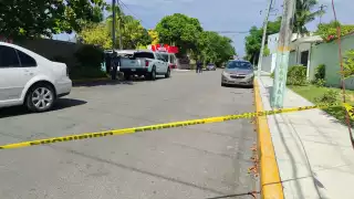 Encuentran alrededor de 50 cadáveres de animales en Chetumal: Investigan crematorio de mascotas