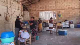 De 24 a 26 pesos: tortillas más caras desde el lunes