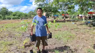 🌱 Campesinos de Campeche reforestan ejidos con miles de árboles para frenar el cambio climático