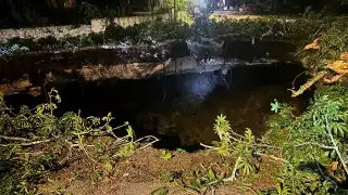 El socavón del cenote se tragó un árbol de ceiba de 15 metros de altura