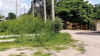 La maleza tapa la visibilidad para los conductores de mototaxistas, motocicletas y automóviles