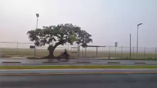 Neblina invade las pistas del aeropuerto de Mérida