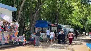 Centenario de Mérida reabre sus puertas tras el paso del Huracán Beryl: EN VIVO 