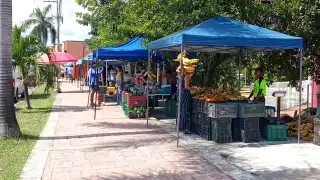 Desde las 3 de la mañana instalan sus puestos para abastecer a quienes buscan productos recién cosechados.