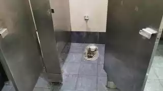 Robo de película: desaparece inodoro en Plaza Real