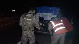 El cargamento de pulpo maya fue asegurado al no contar con documentación que acreditara su legal procedencia.