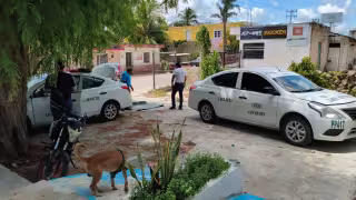 Sacan de circulación a cerca del 50% de los taxistas de Tizimín por operar en la ilegalidad