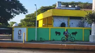 Robo de Cerdos en el Rastro Municipal