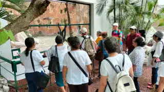 Talleres del Inapam atraen a 10 nuevos adultos mayores cada mes en Campeche