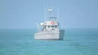 Pescadores furtivos del municipio siguen depredando ejemplares que están en período de veda