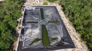 Se trabaja para vigilar las operaciones porcícolas en Yucatán