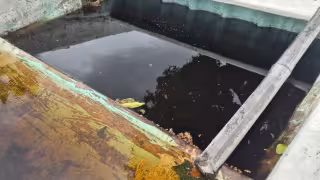 Alertan por embarcaciones llenas de agua que favorecen la proliferación del dengue