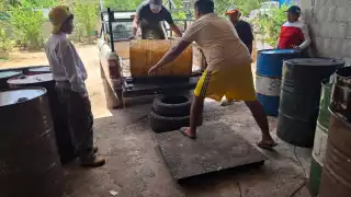 "Ya pasó un año": apicultores exigen informe financiero y pago de remesas