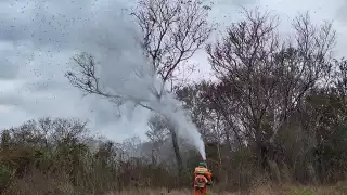 Pobladores temen que arrasen con los árboles frutales de los cuales depende la economía de la región