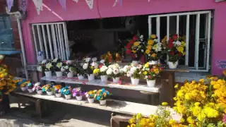  Negocios de Sabancuy esperan buen cierre de año 2024   