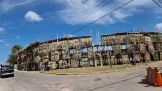 Asociación Vicente Chi celebra 35 años en medio de ajustes económicos