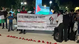 Activistas y ciudadanos marcharon para visualizar la violencia contra Palestina.