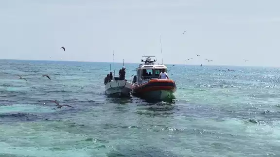 El pescador tenía 20 kilos de pulpo maya