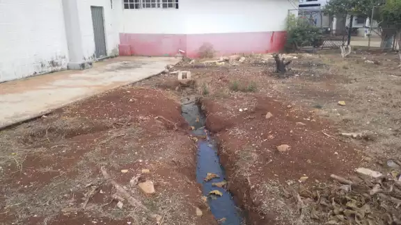 Los aficionados junto con los vecinos señalan que este problema de salud pública debe ser atendido a la máxima brevedad. Los aficionados junto con los vecinos señalan que este problema de salud pública debe ser atendido a la máxima brevedad.