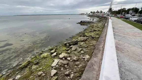 El agua de la bahía se retira hacia el interior.