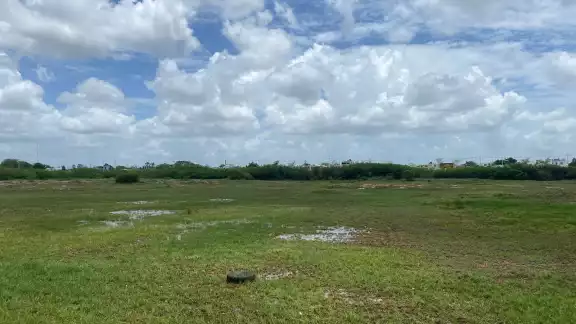 Los terrenos apenas y alcanza a registrar unos cuantos charquitos, que lejos de ser un atractivo, pueden convertirse en criaderos de mosquitos Los terrenos apenas y alcanza a registrar unos cuantos charquitos, que lejos de ser un atractivo, pueden convertirse en criaderos de mosquitos