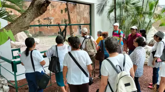Talleres del Inapam atraen a 10 nuevos adultos mayores cada mes en Campeche Talleres del Inapam atraen a 10 nuevos adultos mayores cada mes en Campeche
