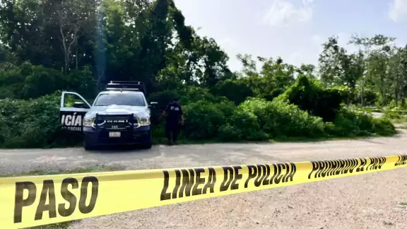 'Ola' de ejecuciones en Quintana Roo marcan la temporada de Verano 2024 'Ola' de ejecuciones en Quintana Roo marcan la temporada de Verano 2024