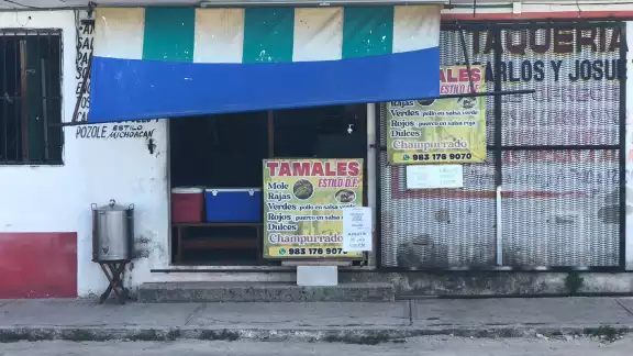 Egresada de la carrera de Recursos Naturales vende tamales por la falta de empleo en su área Egresada de la carrera de Recursos Naturales vende tamales por la falta de empleo en su área