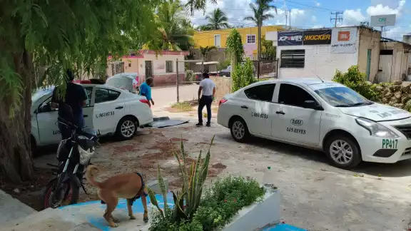 Se permitirá la circulación de 90 taxis con permiso vigente en Tizimín Se permitirá la circulación de 90 taxis con permiso vigente en Tizimín