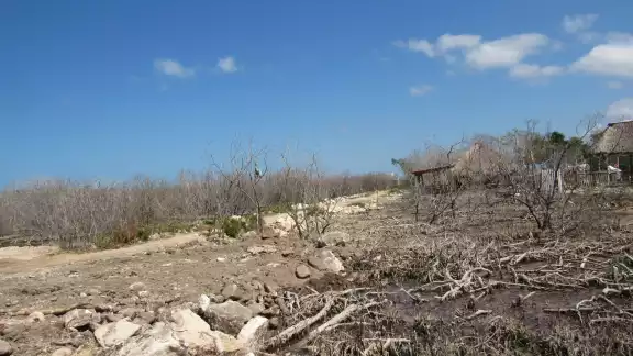 La expansión hotelera y la venta ilegal de tierras afectan gravemente al medio ambiente