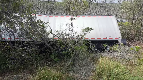 Camión cargado con alimento para perro sufre accidente