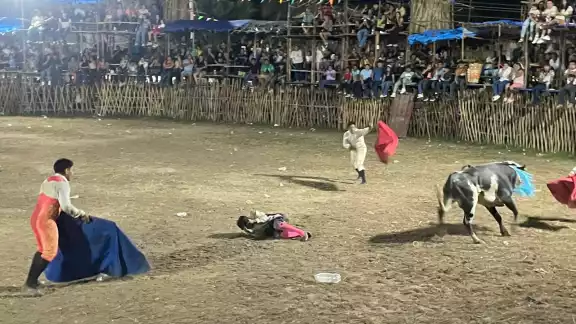 Dos astados hacen de las suyas durante la corrida que se realiza en honor a San Buenaventura Dos astados hacen de las suyas durante la corrida que se realiza en honor a San Buenaventura