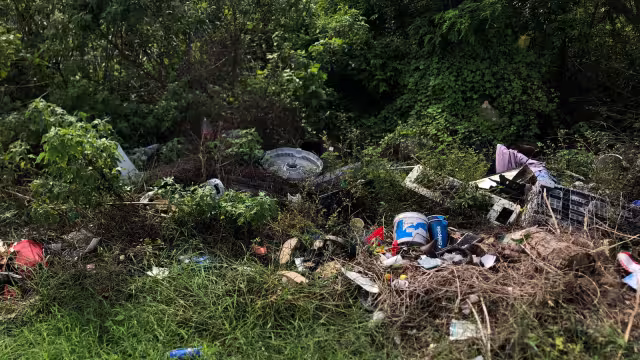 Las condiciones de la colonia Flamingos preocupan a los habitantes de la zona