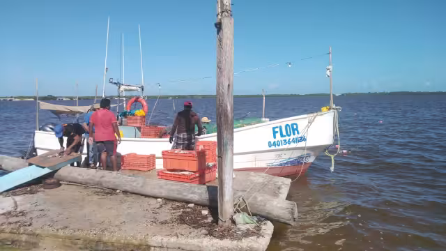 Pescadores solicitan que no se pesque con redes dentro del estero