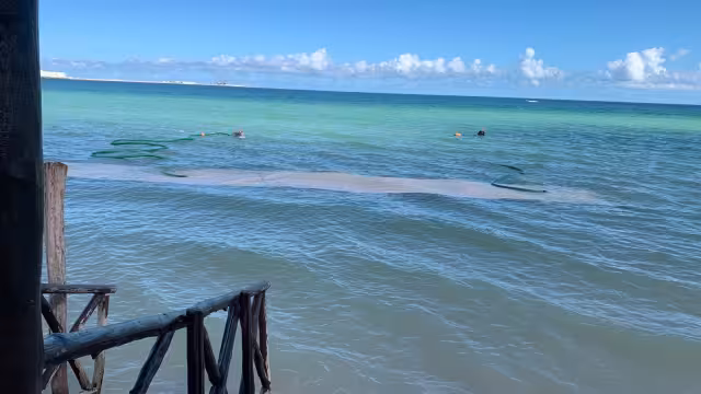 Autoridades locales colocan controversiales estructuras a varios metros de la orilla de la playa