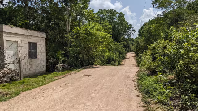 Policías atendieron el reporte al presuntamente existir más casos