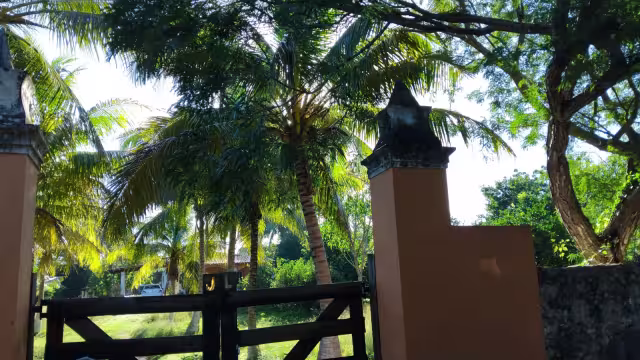 Dueño de un rancho, lo encuentran, en un árbol, ahorcado en Chocholá, Yucatán.