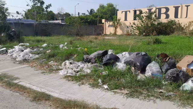 Colonos revelaron que el problema los afecta desde hace más de un año a pesar de sus quejas