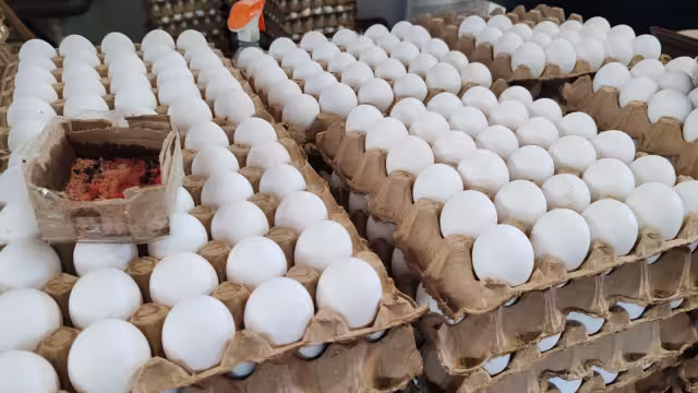 Huevo incrementa su costo