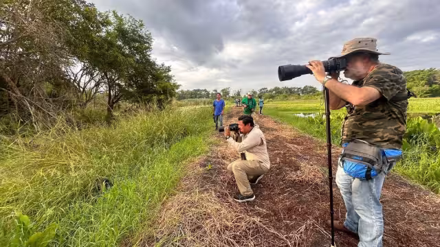 Campeche posee un hábital privilegiado al contar con 496 especies, 128 de ellas migratorias