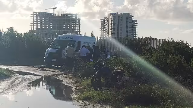 Frente a la playa del Cetmar 17 encontraron órganos de una especie, probablemente de un delfín