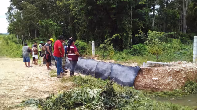 Si hay charcos, hay mosquitos: voltea los recipientes y mantén limpio tu patio
