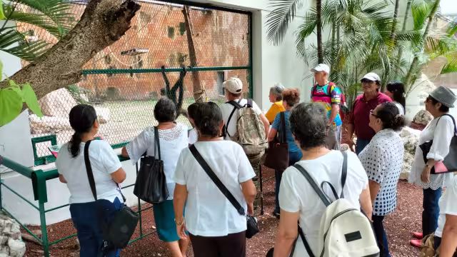 Talleres del Inapam atraen a 10 nuevos adultos mayores cada mes en Campeche